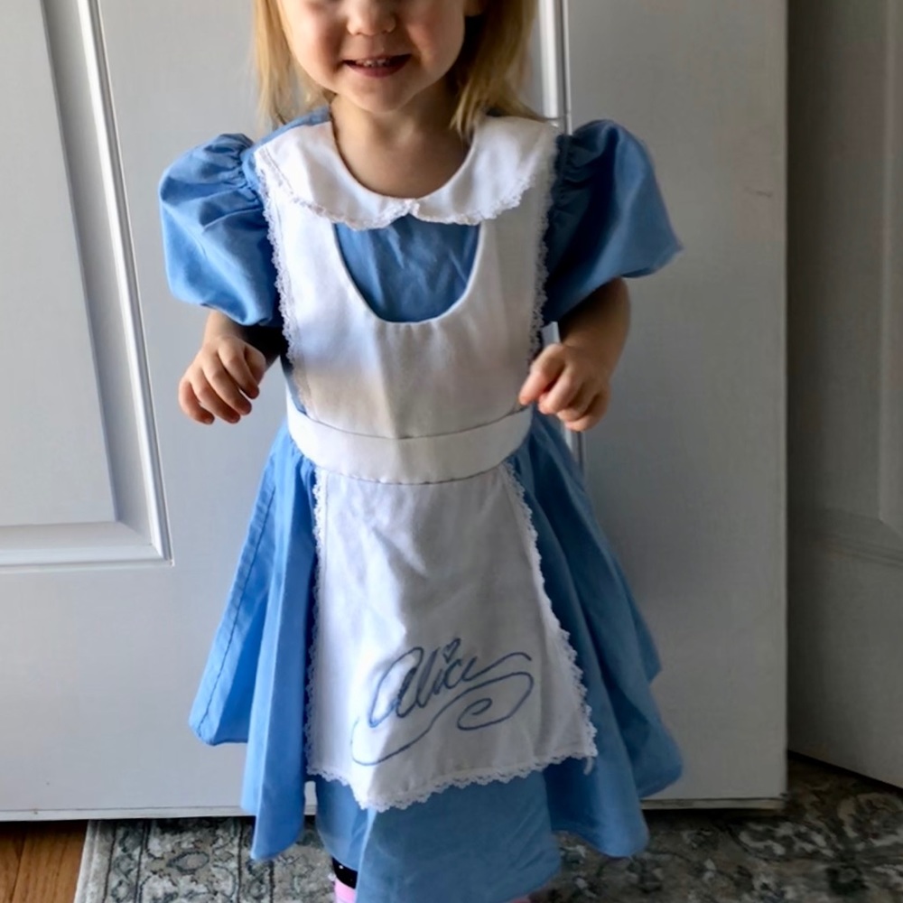 Disneyland brand Alice in Wonderland Dress
